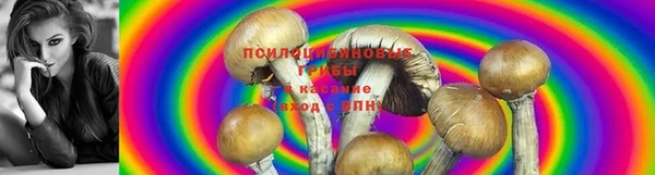 кокаин перу Богданович