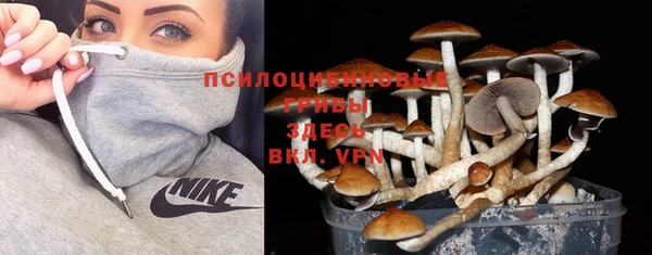 синтетический гашиш Медногорск