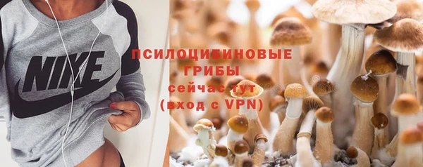 эйфоретик Богородицк