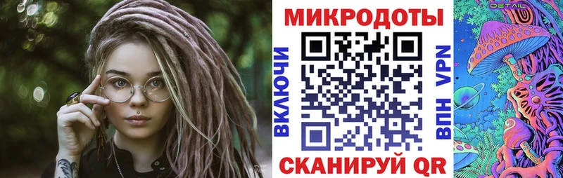 MEGA как войти  Каневская  Галлюциногенные грибы Psilocybine cubensis 
